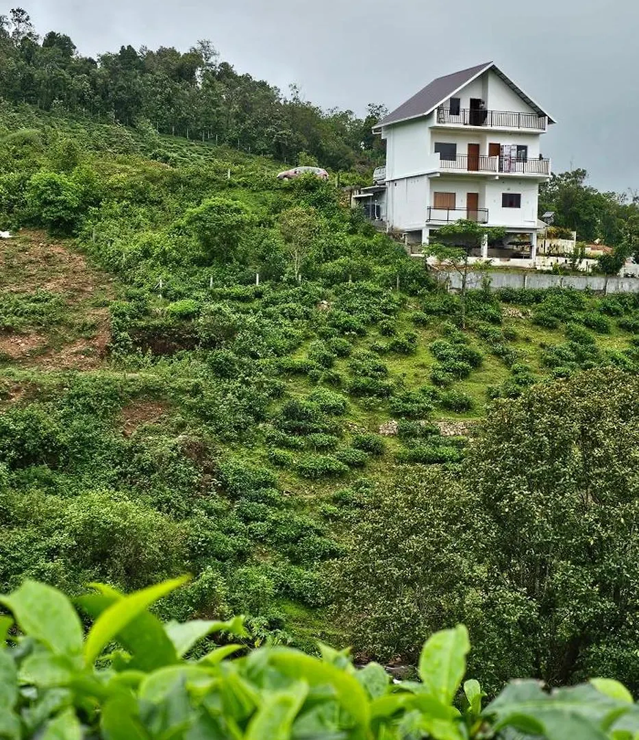Cloudsea Homestay Pirmed