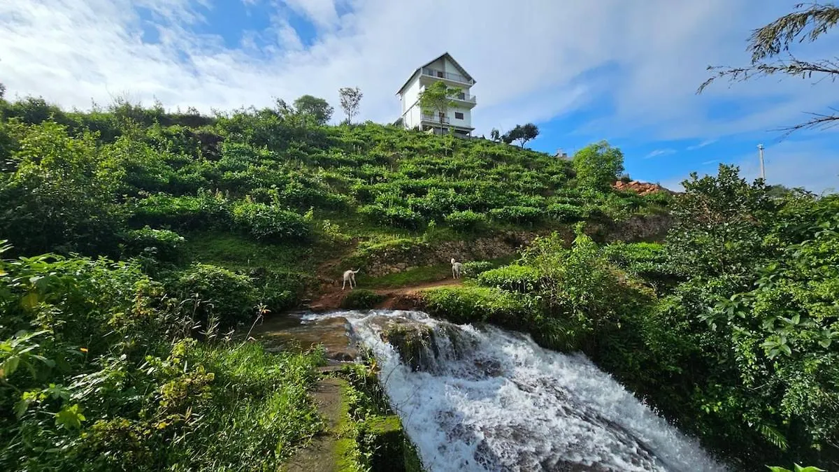 Cloudsea Homestay Pirmed